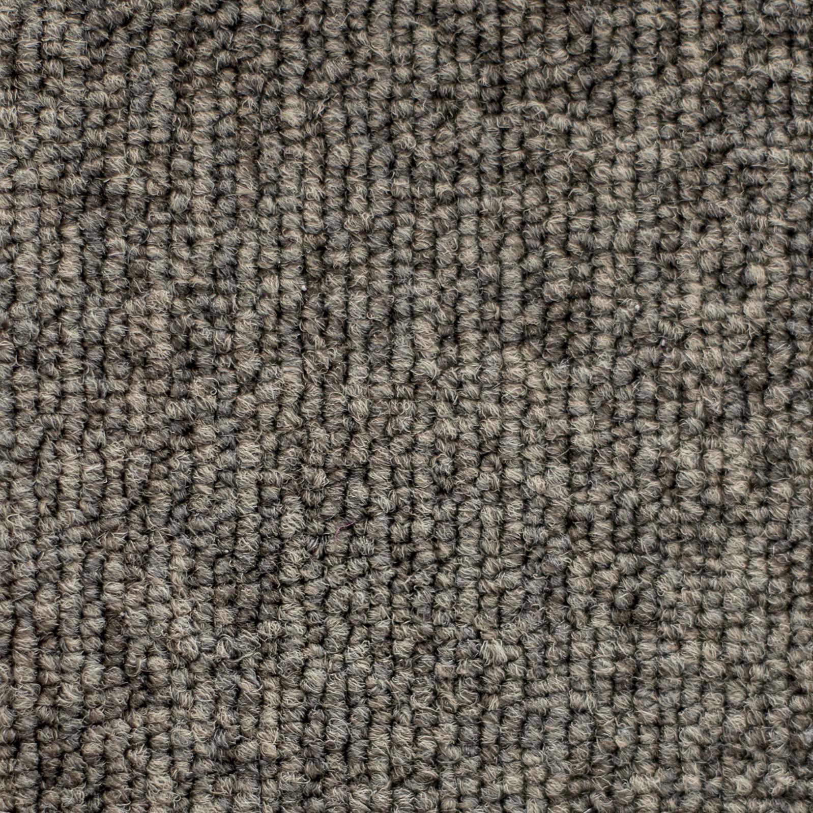 Ковролин "Зартекс" Daily 68 коричневый (4м) — купить в Таганроге