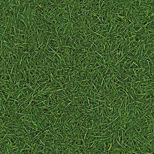 Линолеум бытовой "IVC" Bingo Grass 25 (3м) — купить в Таганроге