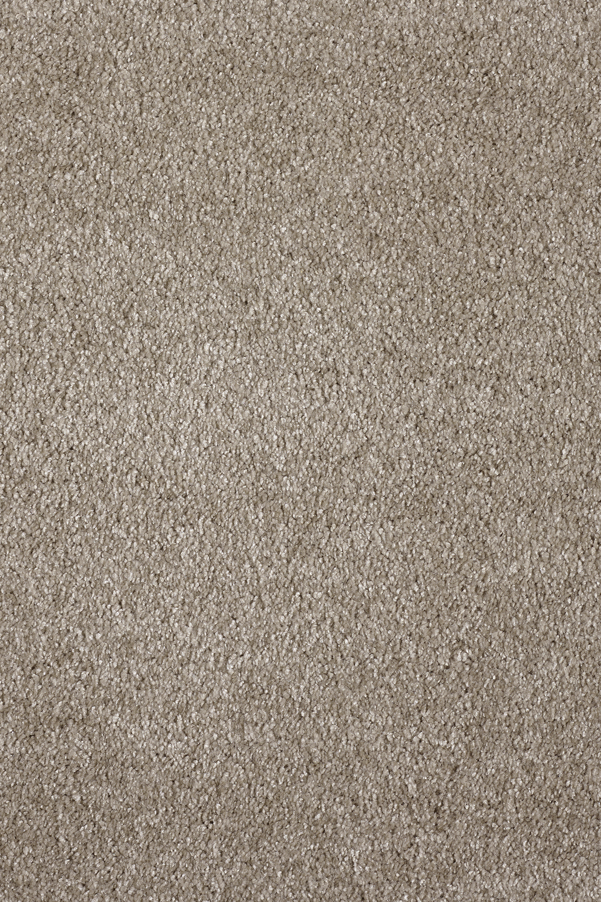 Ковровое покрытие "Bonkeel" Parana 34 (ширина 4м/5м) — купить в Таганроге