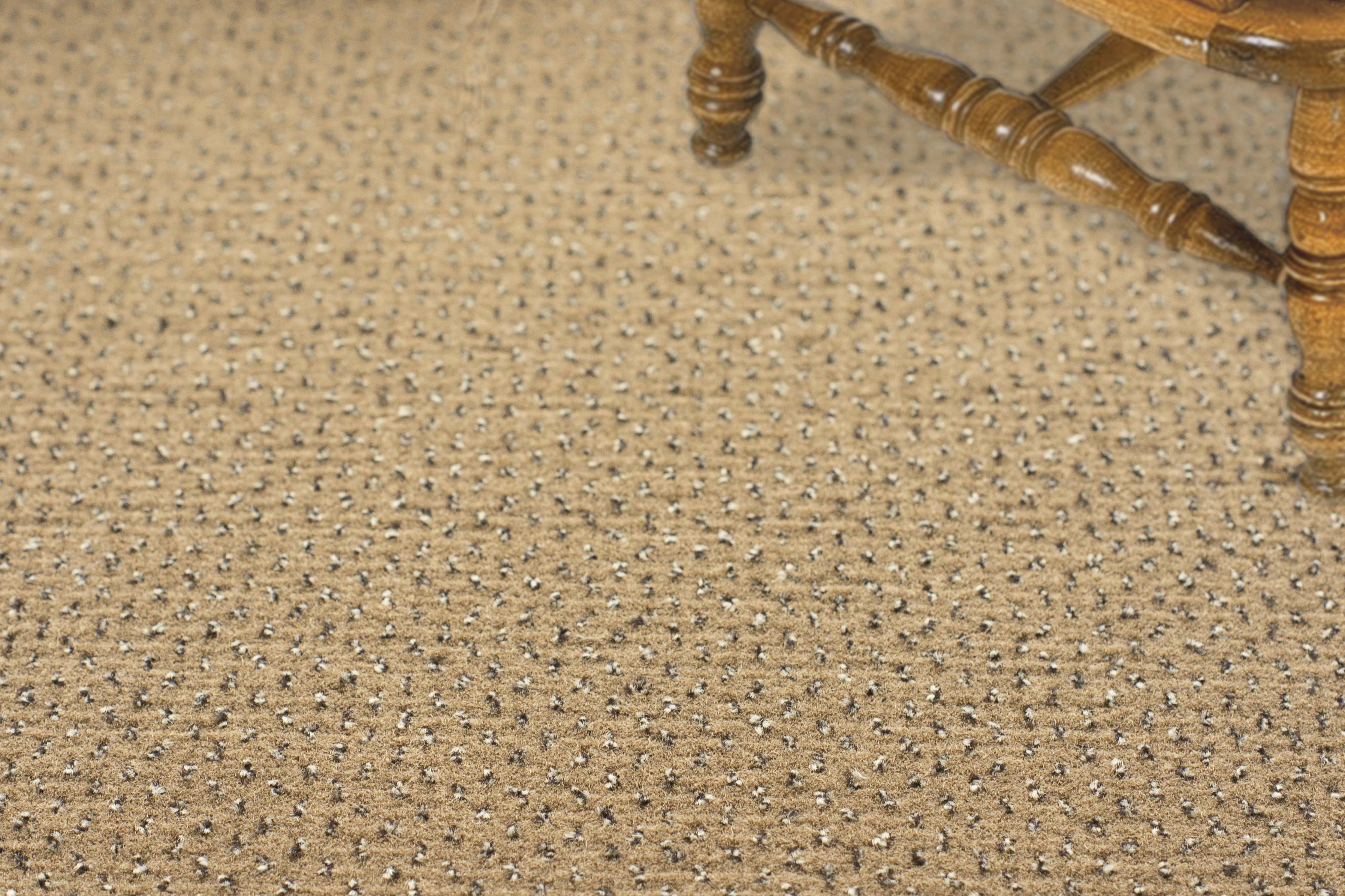 Ковролин "Зартекс" Eternity 142 бежевый (4м) — купить в Таганроге