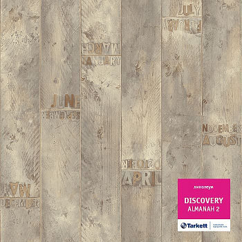 Линолеум бытовой "Tarkett" Discovery Almanah 2 (3м) — фото и характеристики